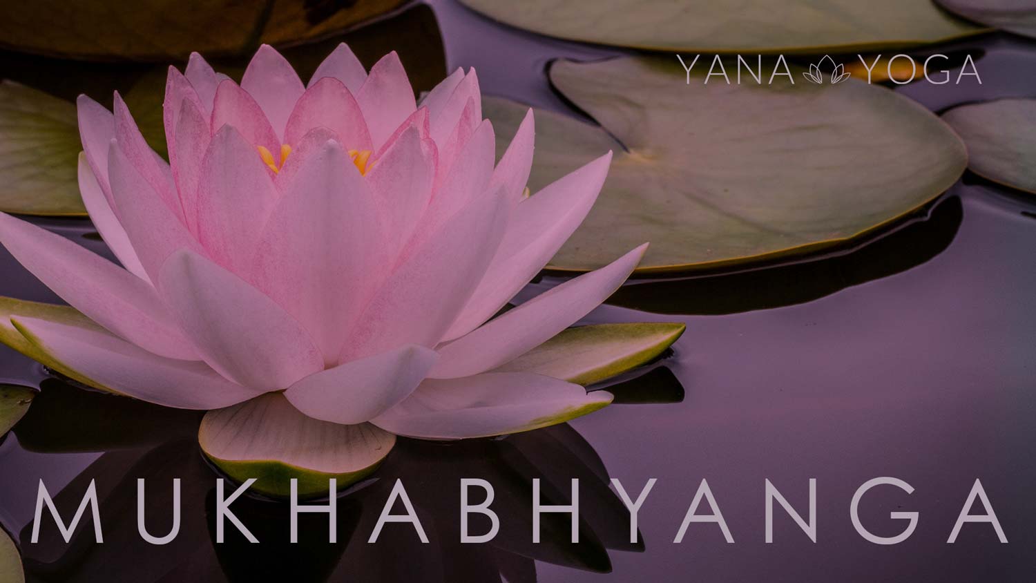 Mukhabhyanga Massage Yana-Yoga.de